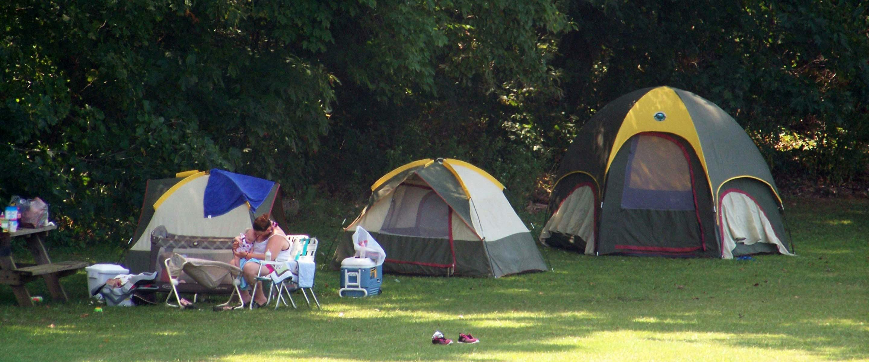 tent setup against the forrest backdrop in the primitive campground