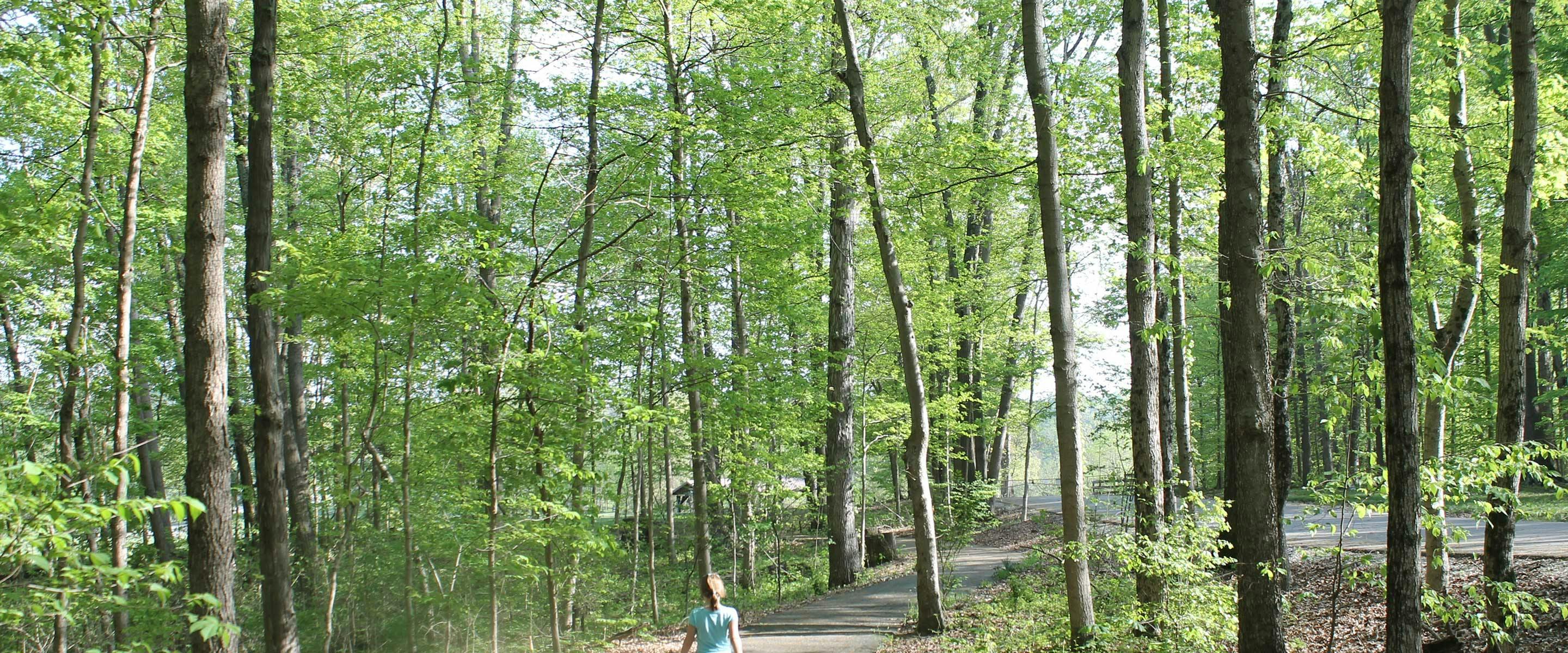 girl walking on paved nature trail to tree forrest canopy area in shade